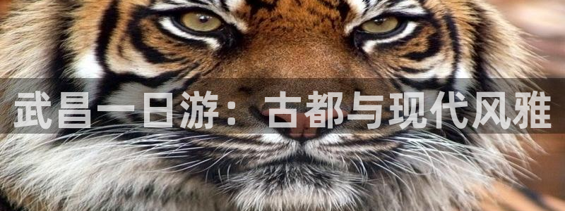 ag九游会数字货币网址