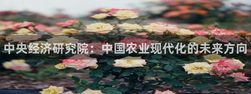 九游最佳球会