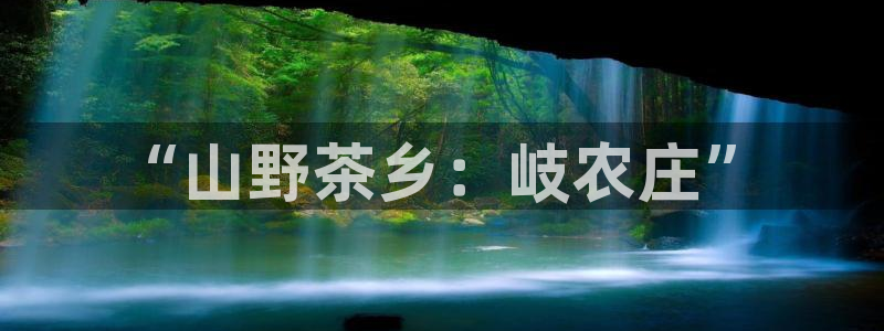 j9九游会ag8手机aPP