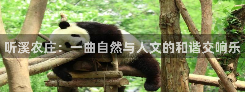 九游会亚洲官网