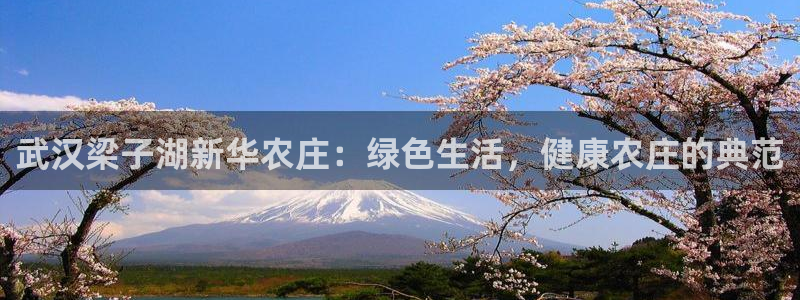 九游会手机登陆嘛
