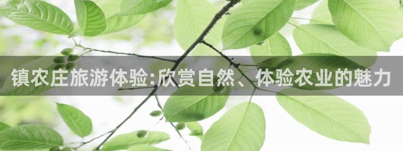 九游会官方大全