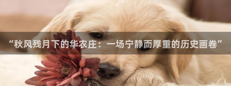 ga九游会