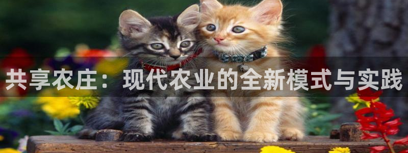 九游会官方网