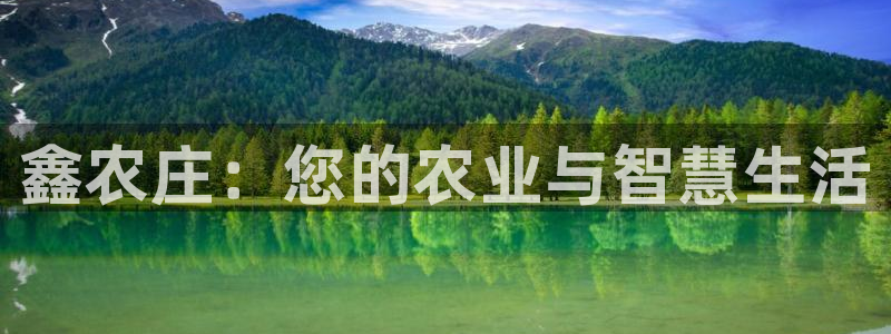 九游会手机登陆嘛