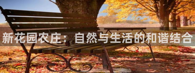 九游会亚洲游戏