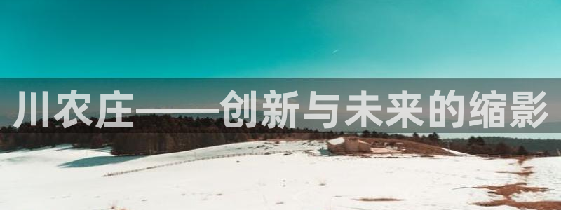 九游会棋牌游