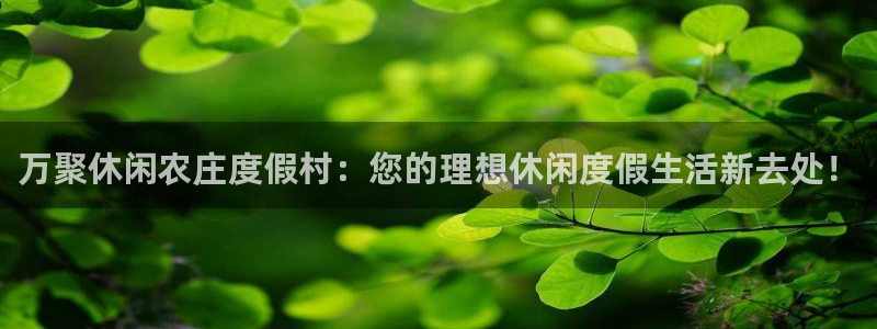 九游会体育投注