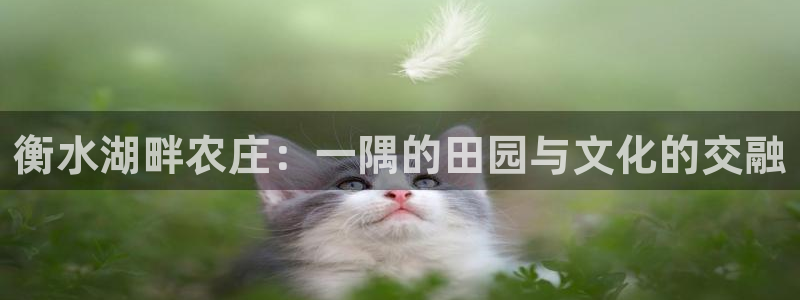 九游会网址导航