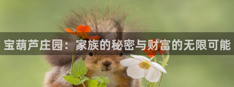 九游会棋牌游