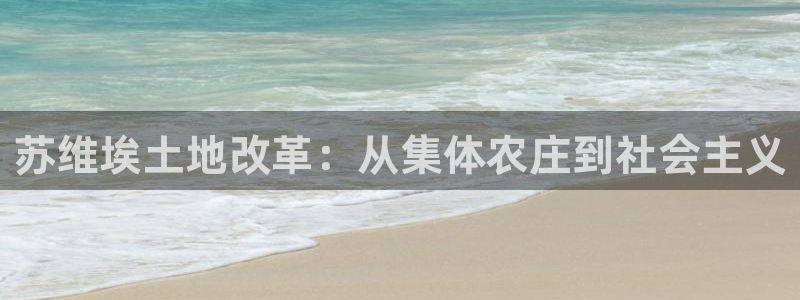 九游会棋牌牌