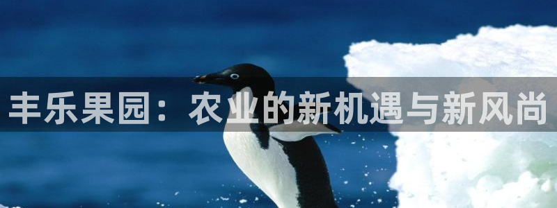 九游会ag.