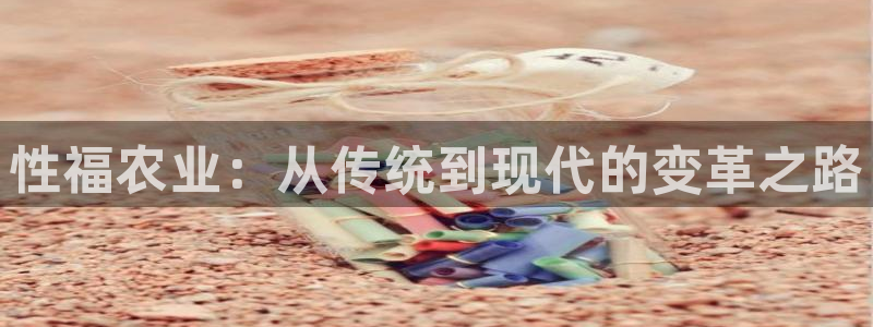 网赌九游会