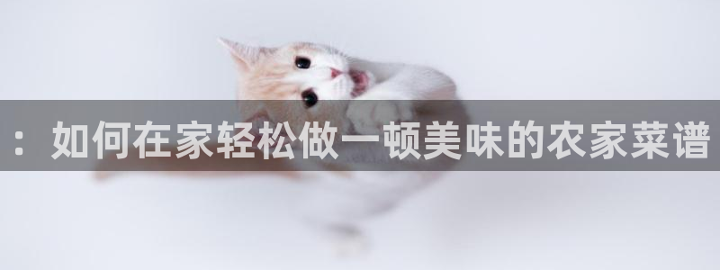 ja九游会