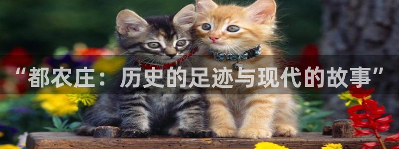 九游会ag手游网