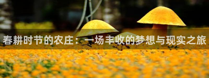 江苏九游会木业