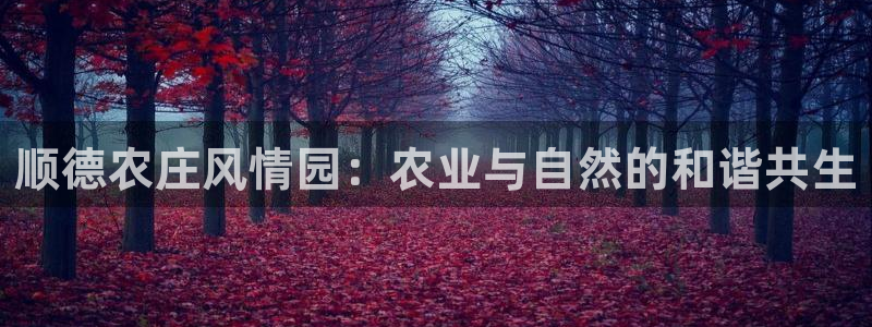 九游会网址登录不上