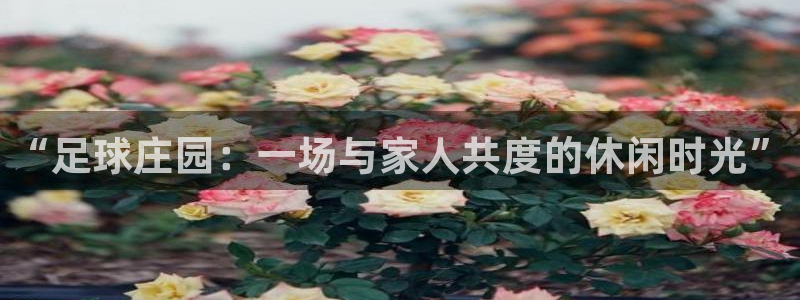 九游会登录不了游戏吗