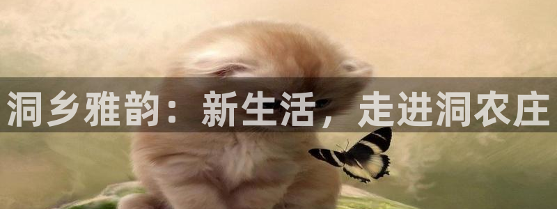 j9九游会国际