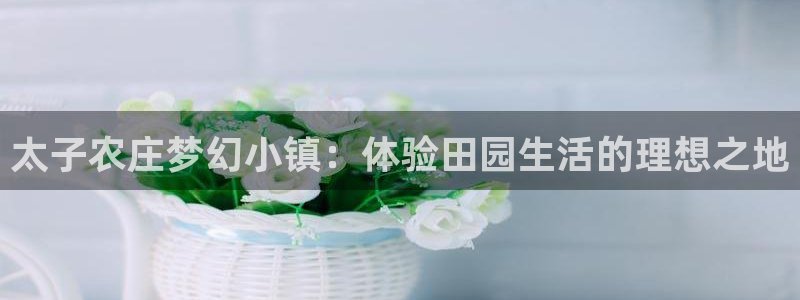 九游会苹果