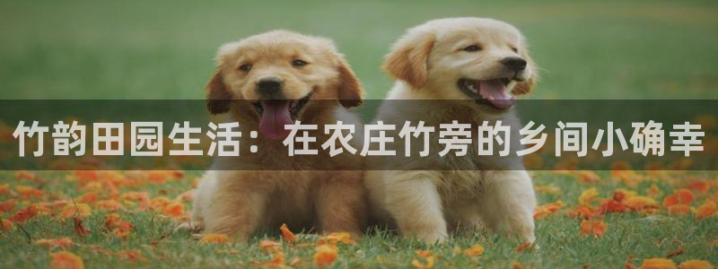 九游会BJL