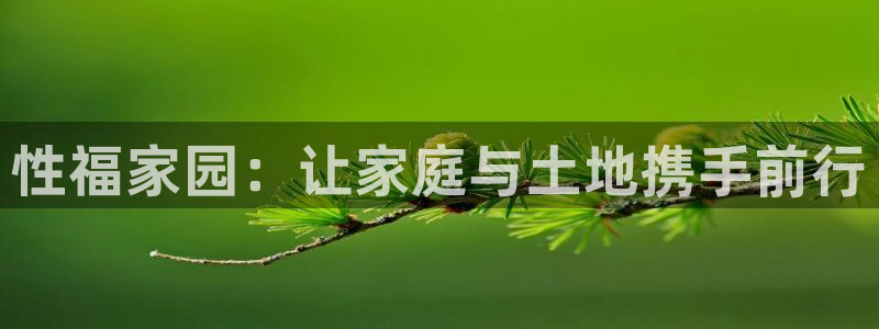 九游会体育滚球