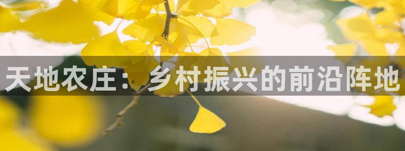 九游会感受