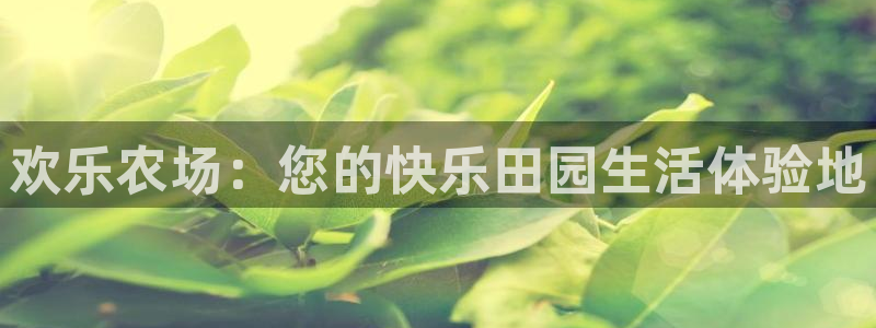九游会黑网