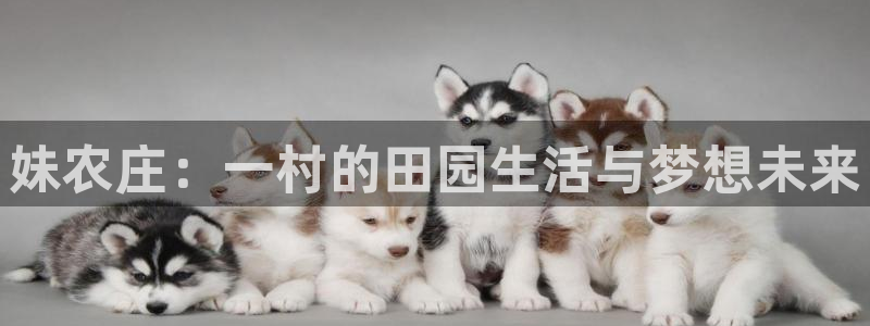九游会亚洲集团