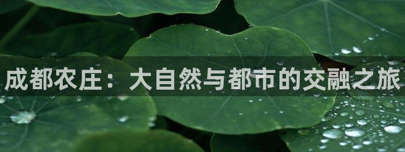ag九游会官网VIP