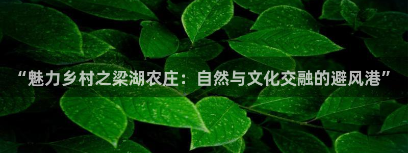 亚游九游会登陆