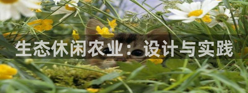 九游会手机登录网址