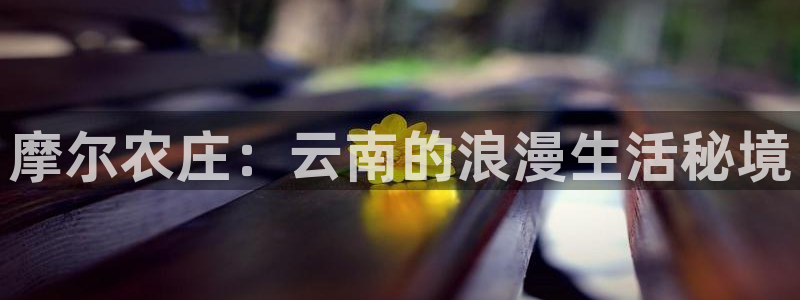 九游系统为什么会繁忙