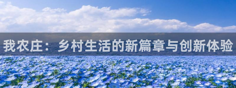 j9九游会国际站