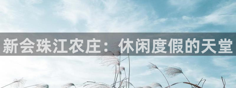 九游会网址多少九