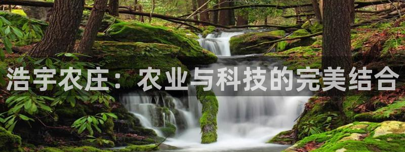 亚游停运转九游会