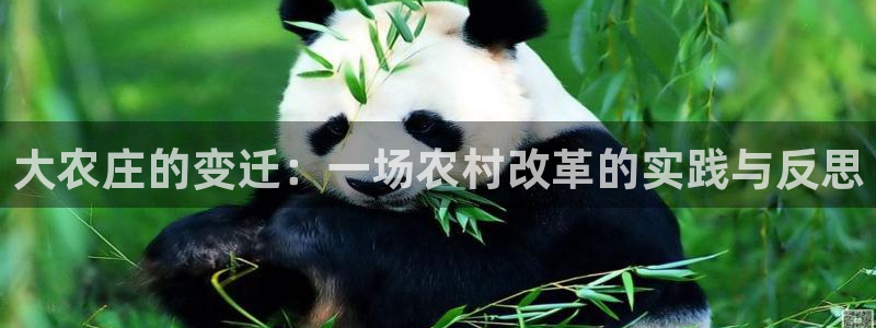 做九游返利会封号嘛