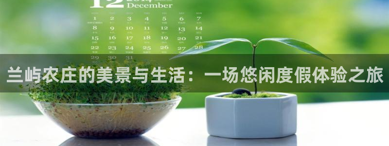 九游会备用入口