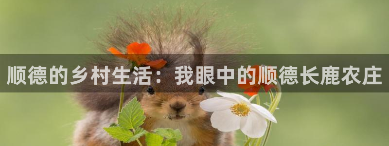 九游会j9提现快吗