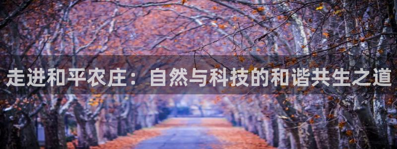 九游会游戏官网入口下载