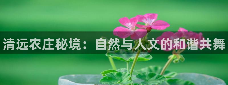 九游会官网平台