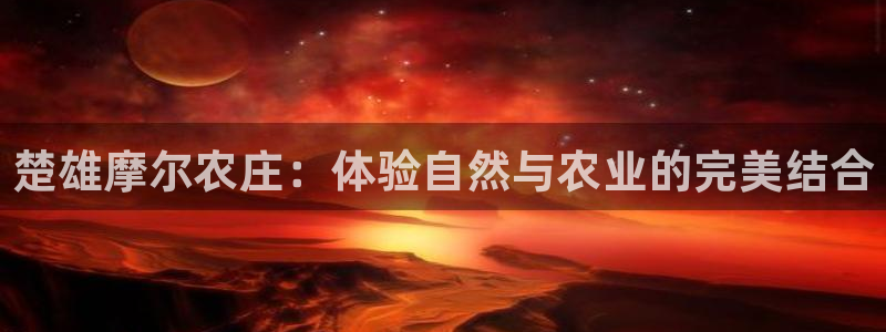 九游会j9是什么意思