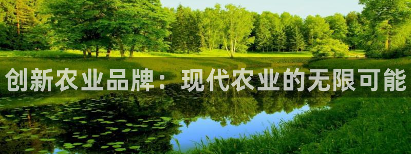 九游会官网平台网址