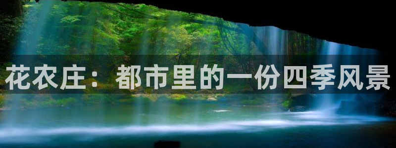 九游会网址国际