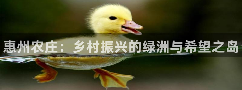 九游会直播登录微信吗