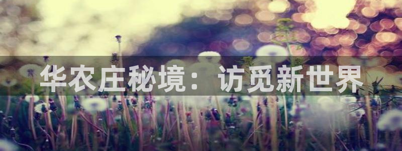 九游会体育网址