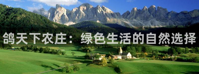 九游会提款靠谱吗