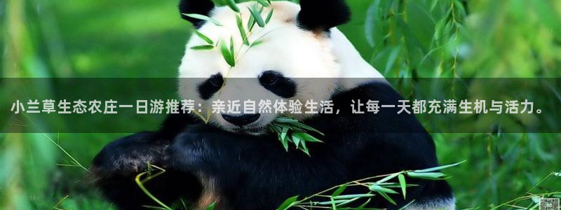 九游会平台入口