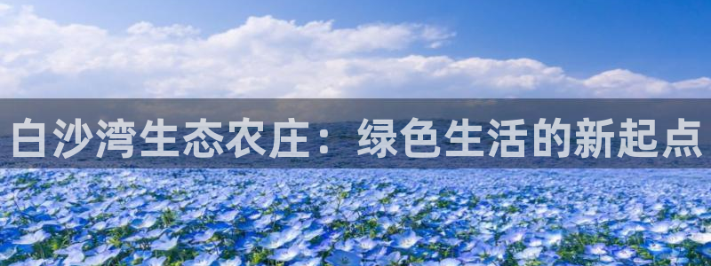 九游会登录注册