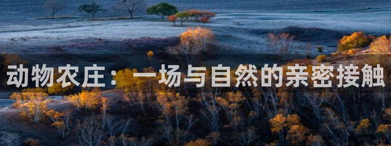 九游会大家有没有玩